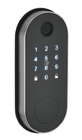Smart Home Impermeabile Chiusura a bordo elettrica con controllo APP WIFI Porta porta impronte digitali Smart
