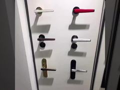 Presenti la maniglia di porta in lega di zinco moderna, progettazione su misura della maniglia di porta commerciale 58*85mm per voi