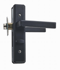 La maniglia lunga classica del pannello della serratura di porta della mortasa placca