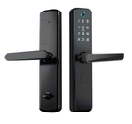 Elettronico Keyless biometrico della serratura di porta della maniglia di Smart GRH dell'impronta digitale di Digital