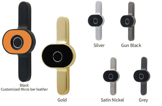 Il Governo di Smart della serratura dell'impronta digitale chiude le serrature a chiave Keyless biometriche del guardaroba del cassetto